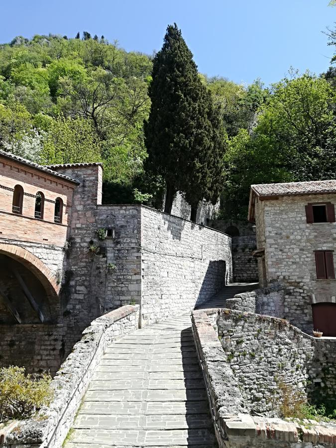 Civico 10 Otel Gubbio Dış mekan fotoğraf
