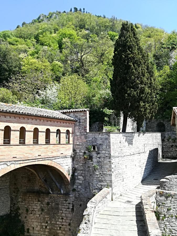 Civico 10 Otel Gubbio Dış mekan fotoğraf